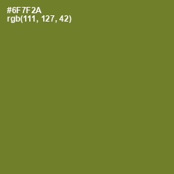 #6F7F2A - Fern Frond Color Image