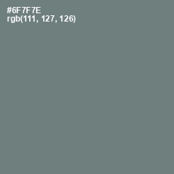 #6F7F7E - Boulder Color Image