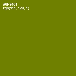 #6F8001 - Limeade Color Image