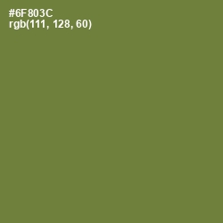 #6F803C - Wasabi Color Image