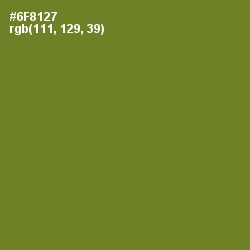 #6F8127 - Olive Drab Color Image