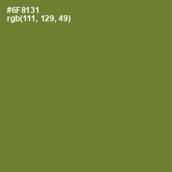 #6F8131 - Wasabi Color Image