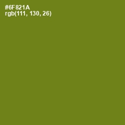 #6F821A - Trendy Green Color Image