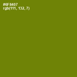 #6F8407 - Trendy Green Color Image
