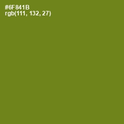 #6F841B - Trendy Green Color Image