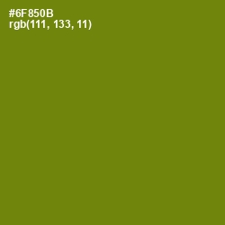 #6F850B - Trendy Green Color Image