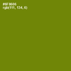 #6F8606 - Limeade Color Image