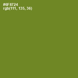 #6F8724 - Olive Drab Color Image