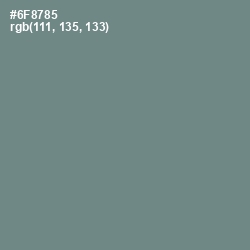 #6F8785 - Blue Smoke Color Image