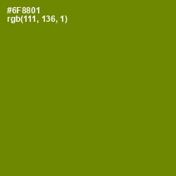 #6F8801 - Limeade Color Image