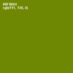 #6F8804 - Limeade Color Image