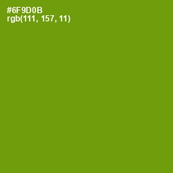 #6F9D0B - Limeade Color Image