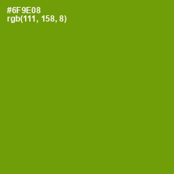 #6F9E08 - Limeade Color Image