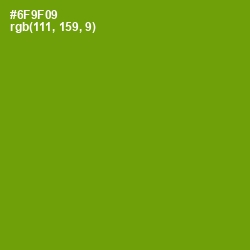 #6F9F09 - Limeade Color Image