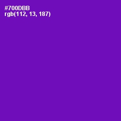 #700DBB - Purple Color Image