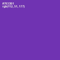 #7033B1 - Royal Purple Color Image