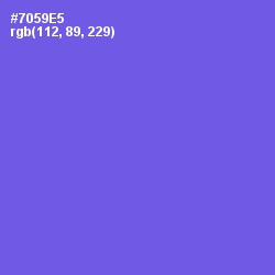 #7059E5 - Blue Marguerite Color Image