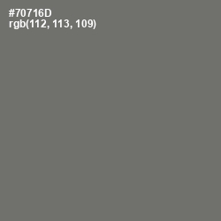 #70716D - Limed Ash Color Image