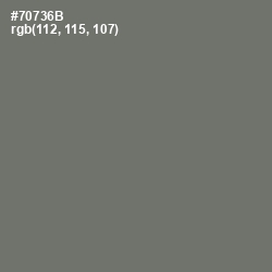 #70736B - Limed Ash Color Image