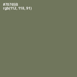 #70765B - Crocodile Color Image