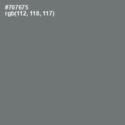 #707675 - Tapa Color Image