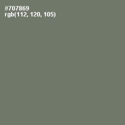 #707869 - Limed Ash Color Image