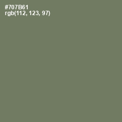 #707B61 - Limed Ash Color Image