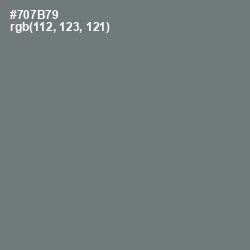 #707B79 - Boulder Color Image