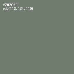#707C6E - Limed Ash Color Image