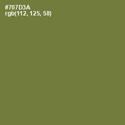 #707D3A - Pesto Color Image