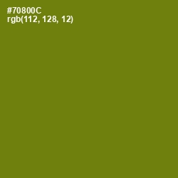 #70800C - Trendy Green Color Image