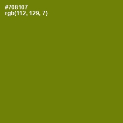 #708107 - Trendy Green Color Image