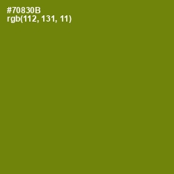 #70830B - Trendy Green Color Image