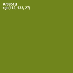 #70851B - Trendy Green Color Image