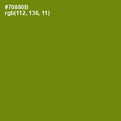 #70880B - Trendy Green Color Image