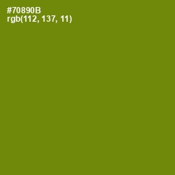 #70890B - Trendy Green Color Image