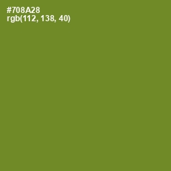 #708A28 - Wasabi Color Image