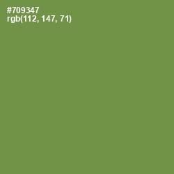 #709347 - Glade Green Color Image