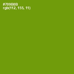 #709B0B - Limeade Color Image