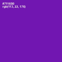 #7116B0 - Purple Color Image