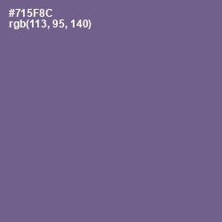 #715F8C - Affair Color Image