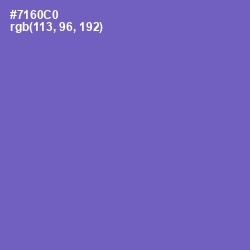 #7160C0 - Blue Marguerite Color Image