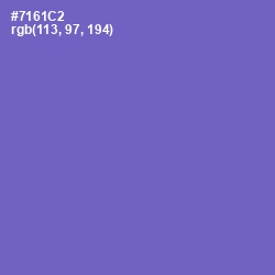 #7161C2 - Blue Marguerite Color Image