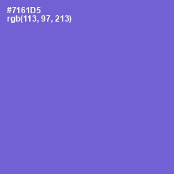 #7161D5 - Blue Marguerite Color Image