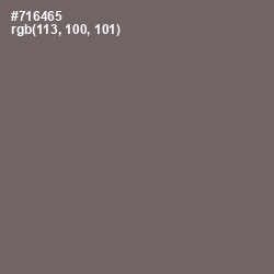 #716465 - Sandstone Color Image