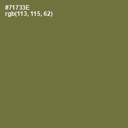 #71733E - Pesto Color Image
