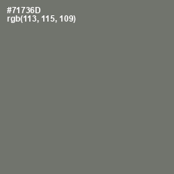 #71736D - Limed Ash Color Image