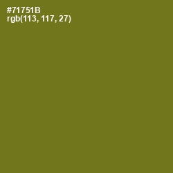#71751B - Olivetone Color Image