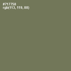 #717758 - Crocodile Color Image