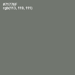 #71776F - Limed Ash Color Image